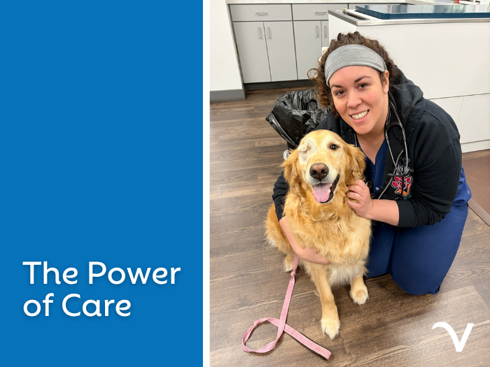 The Power of Care