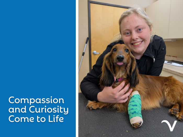 Compassion and Curiosity Come to Life