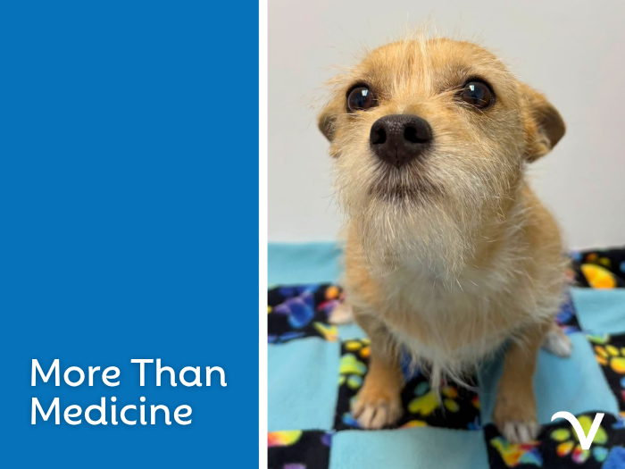 More Than Medicine