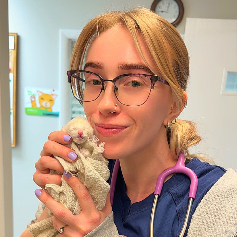 West Lake Animal Hospital