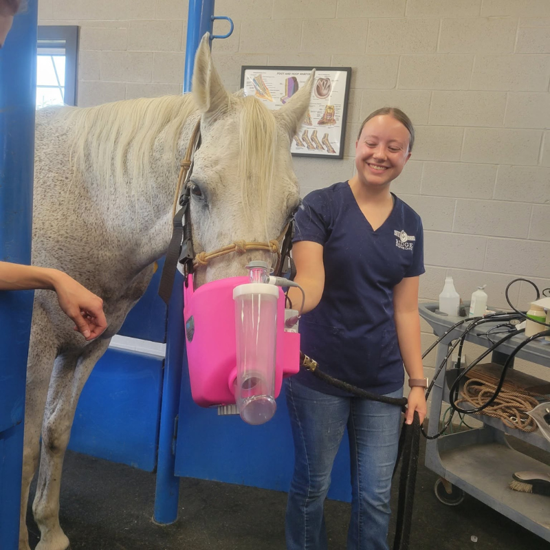 Stone Ridge Equine Care