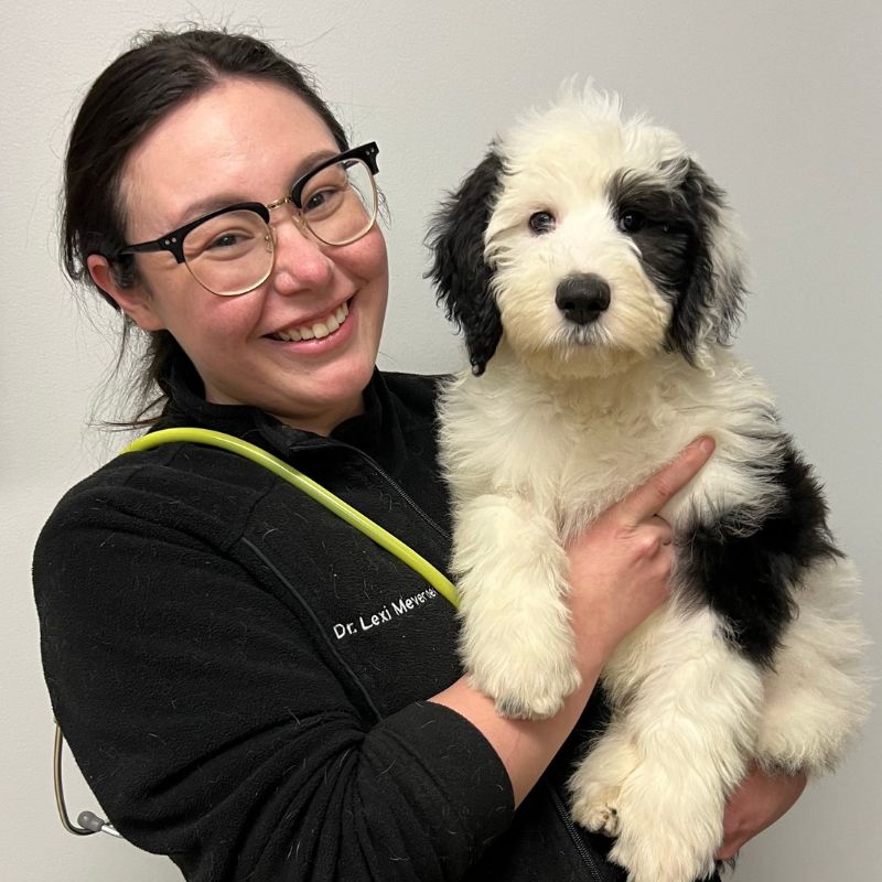 St. Charles Veterinary Clinic