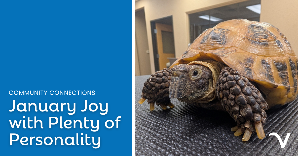 January Joy with Plenty of Personality