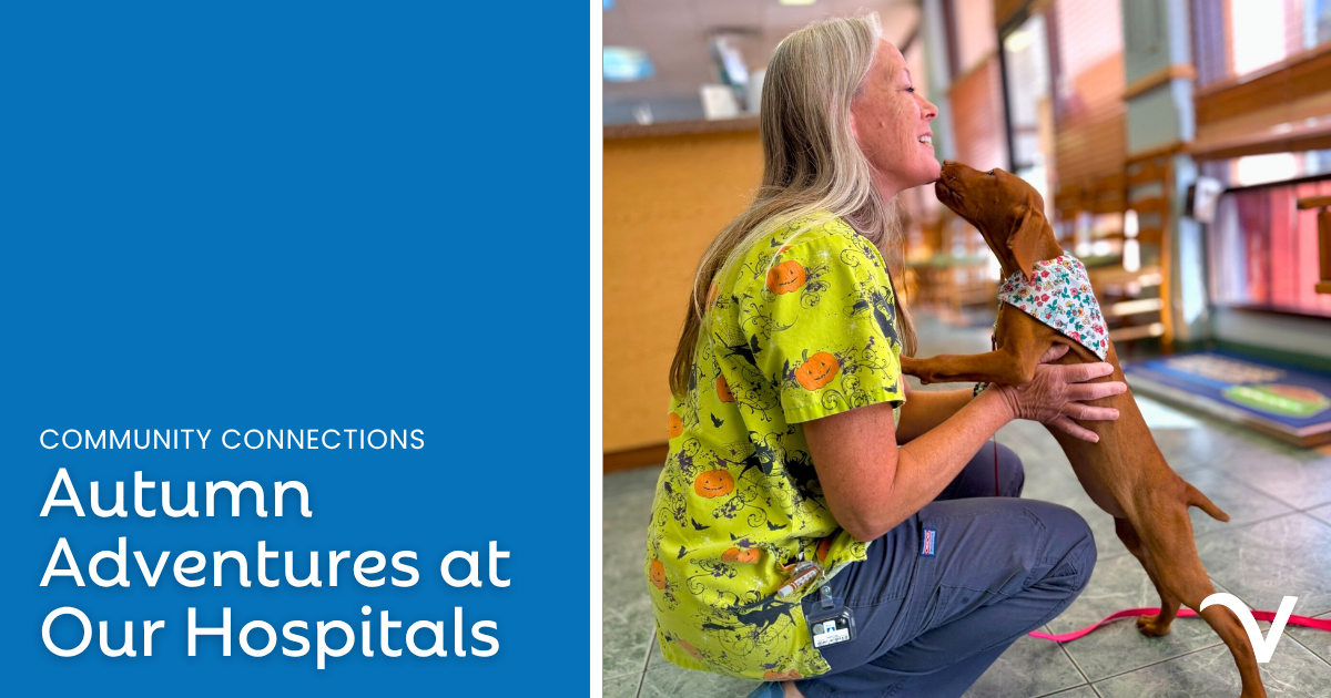 Autumn Adventures at Our Hospitals