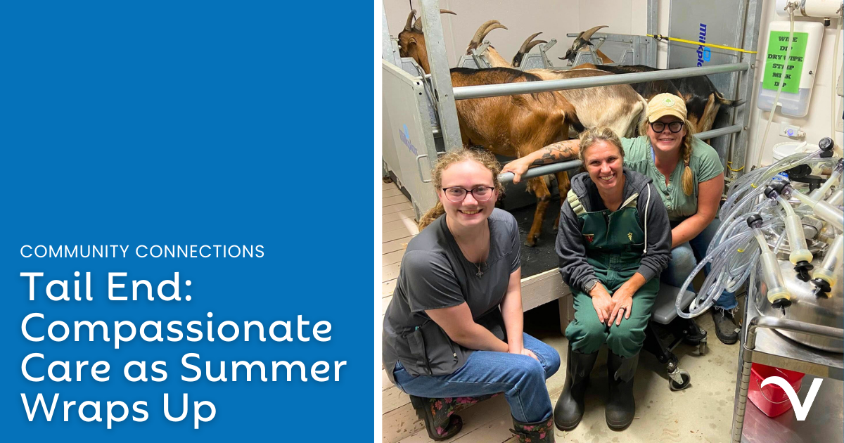 The Tail End: Compassionate Care as Summer Wraps Up