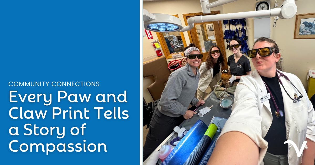 Every Paw and Claw Print Tells a Story of Compassion