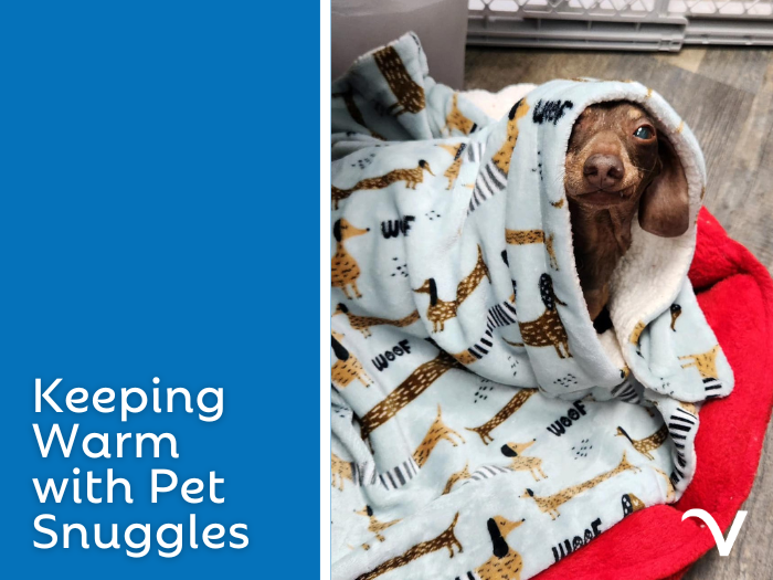 Keeping Warm with Pet Snuggles