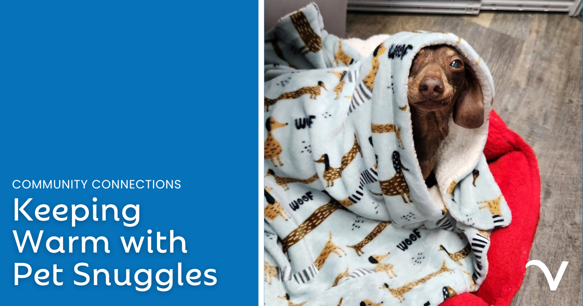 Keeping Warm with Pet Snuggles