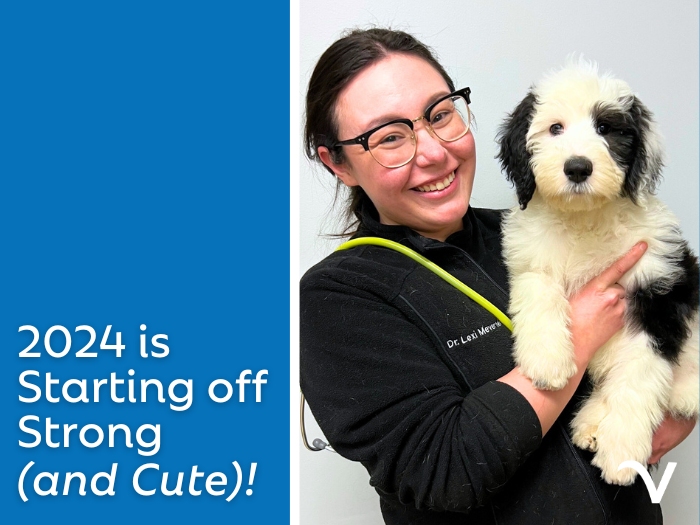 2024 Starting Off Strong (and Cute!)