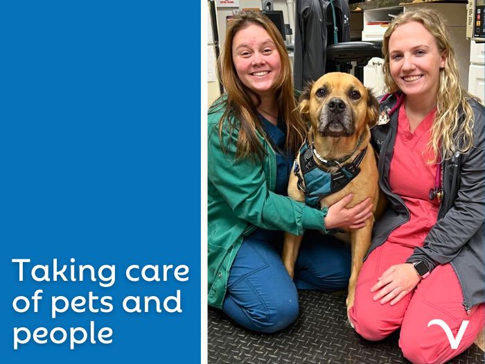 Taking Care of Pets and People