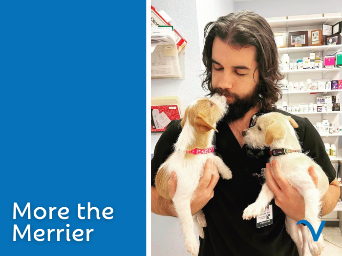 The More the Merrier