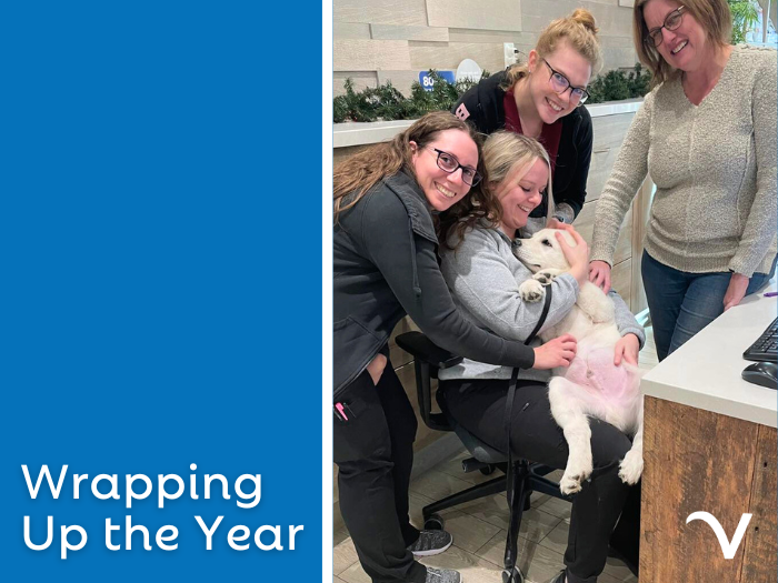 Wrapping Up the Year