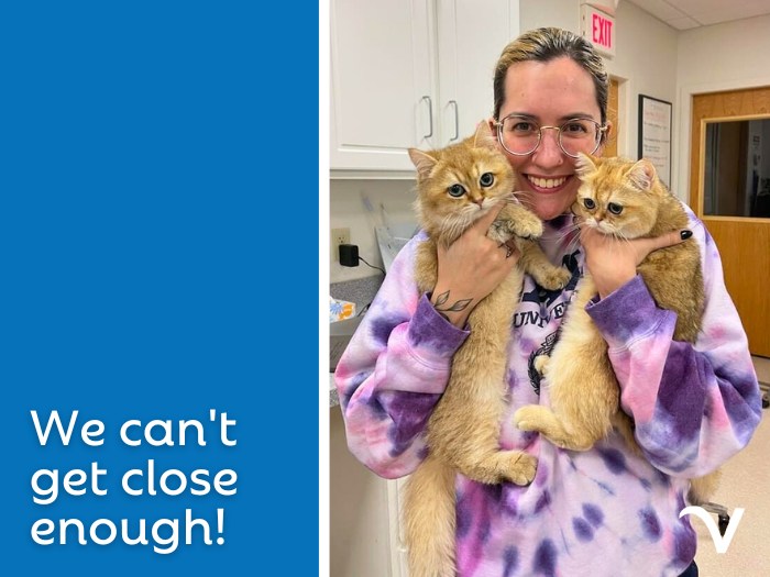 We Can't Get Close Enough