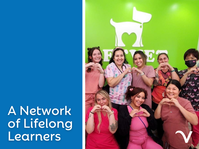 A Network of Lifelong Learners