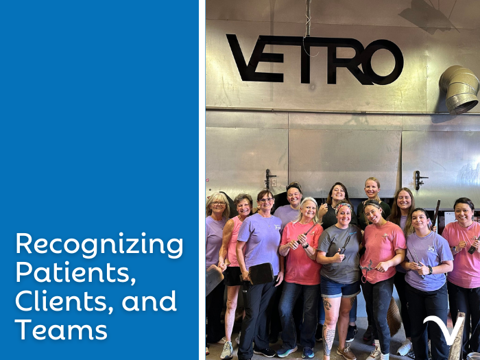 Recognizing Patients, Clients, and Teams