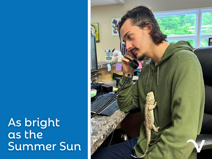 As Bright as the Summer Sun