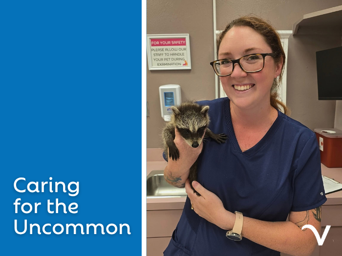 Caring for the Uncommon