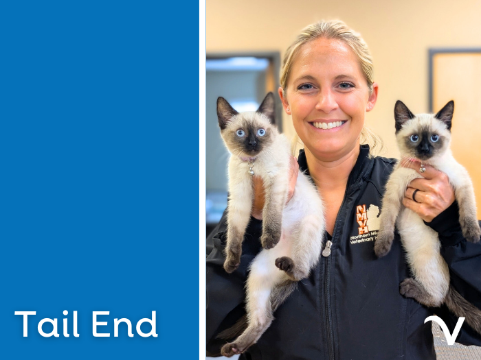 The Tail End: Compassionate Care as Summer Wraps Up