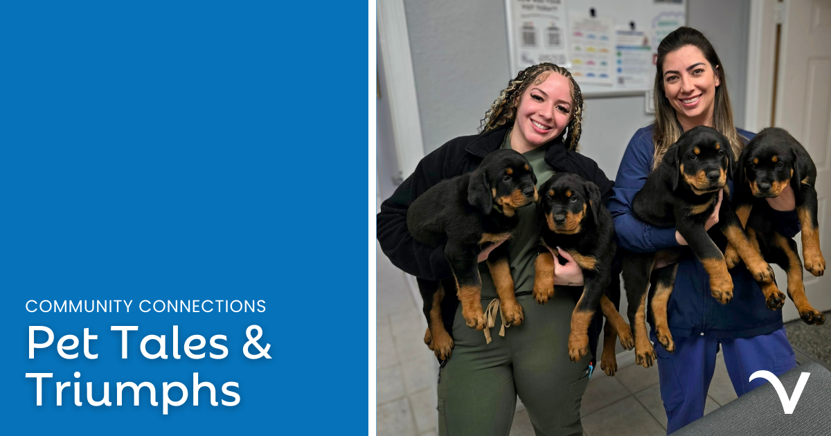 Pet Tales & Triumphs