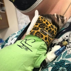 Earlysville Animal Hospital