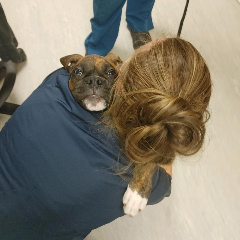 Elkhorn Veterinary Clinic