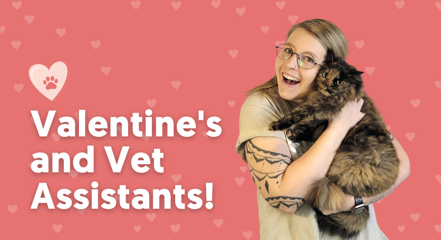 Recognizing Vet Assistants and Celebrating Valentine’s Day