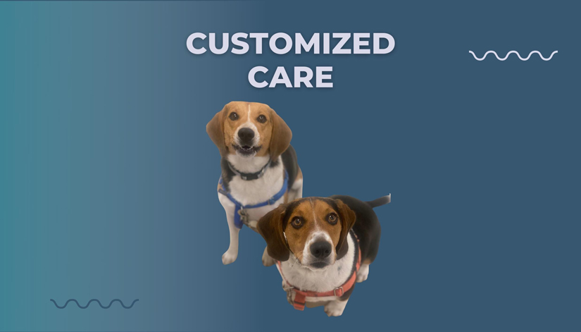 Customized Care
