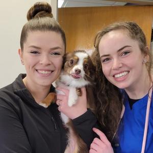 Bright Eyes and Bush Tails Veterinary Hospital