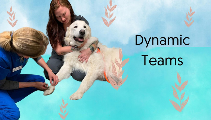 Our Staff and Patients are Dynamic Dynamos