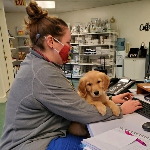 Littleton Animal Hospital - Puppy at desk