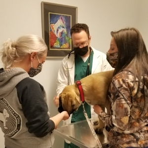 Parkside Veterinary Hospital