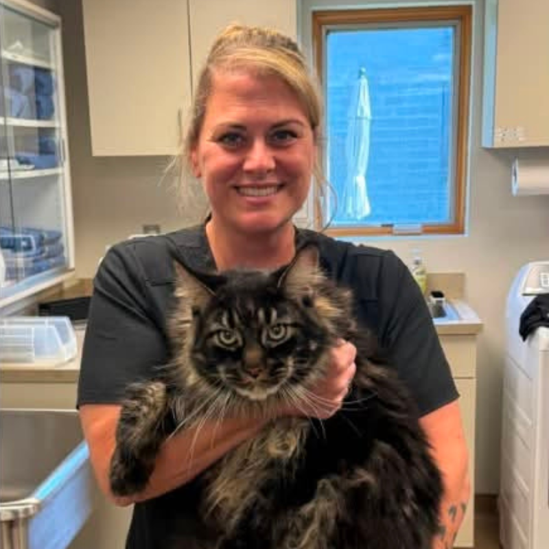 Ramsey Veterinary Hospital