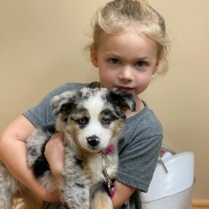 Royston Animal Hospital