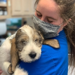 Tara Animal Hospital - puppy hug