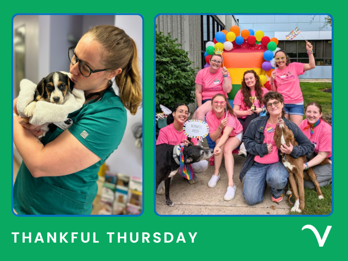 Thankful Thursday: Simply Grateful