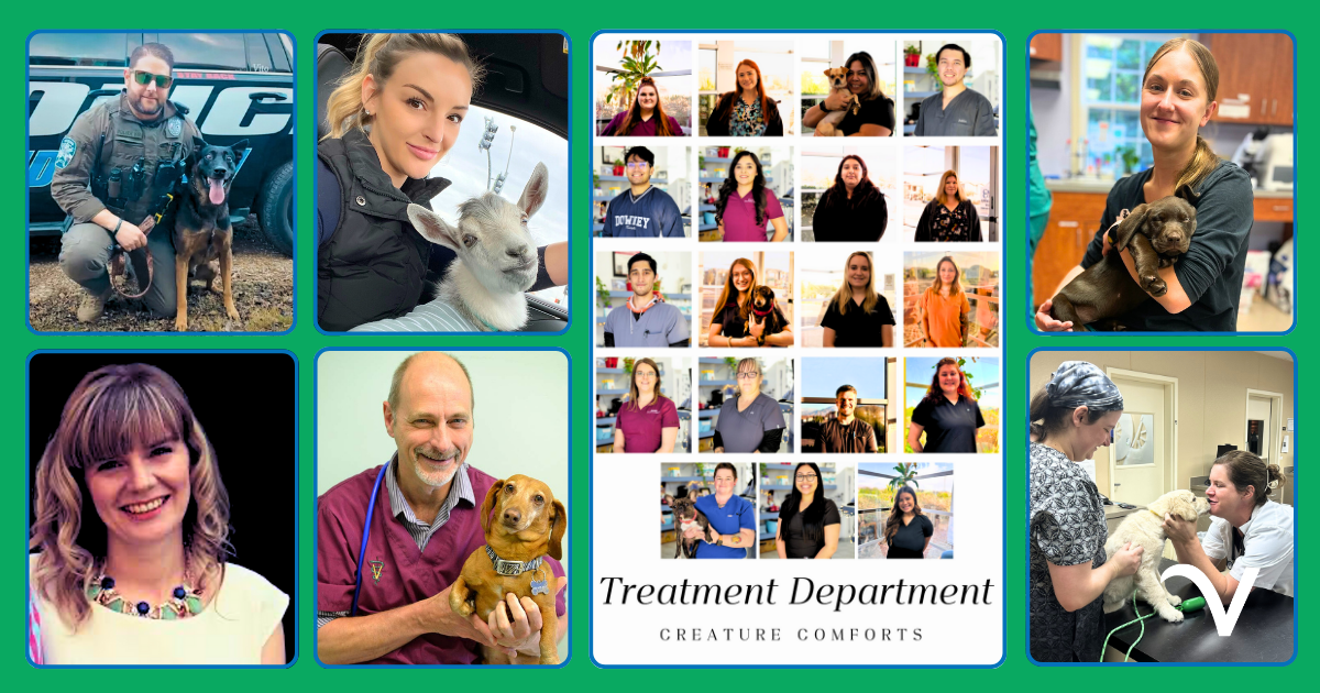 Thankful Thursday: Celebrating Resilience