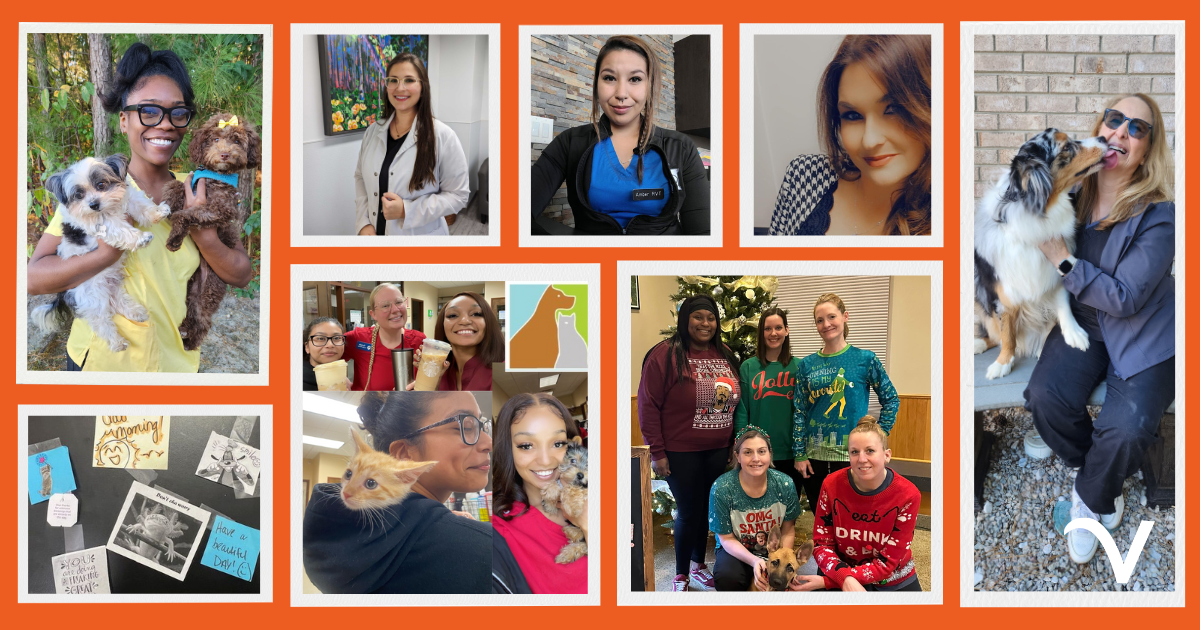 Thankful Thursday: Grateful in 2024