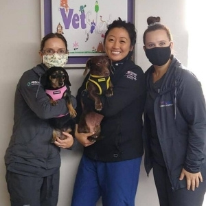 VetSelect Animal Hospital of Novi
