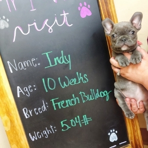 Wellington Veterinary Clinic