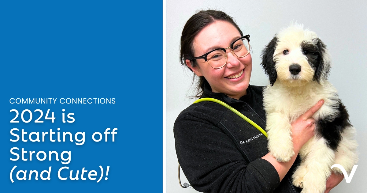 2024 Starting Off Strong (and Cute!)