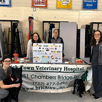The Brick Town team enjoyed educating children about the veterinary field