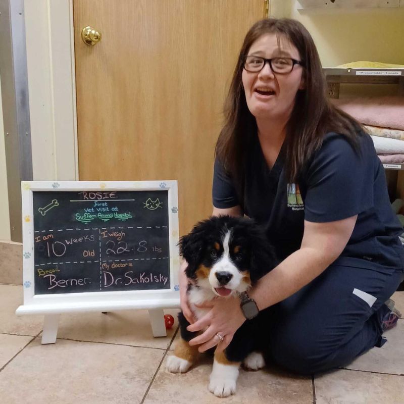 Suffern Animal Hospital