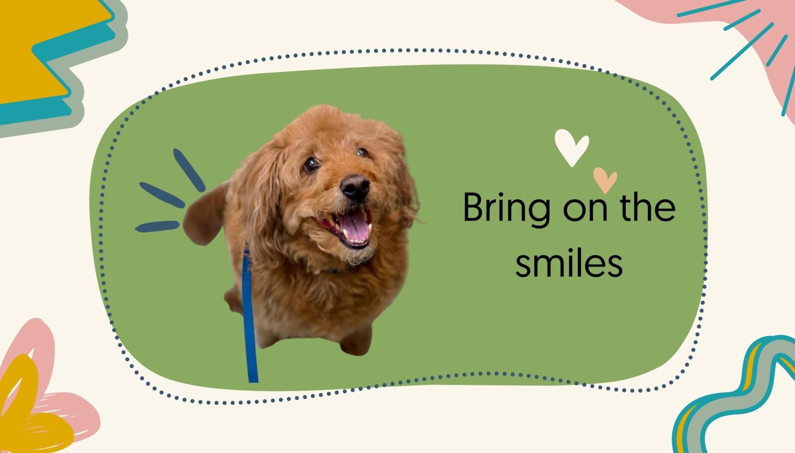 Smiling pet patient at a VetCor practice