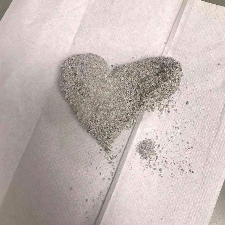 Cat Care of Rochester NY - silvering lining