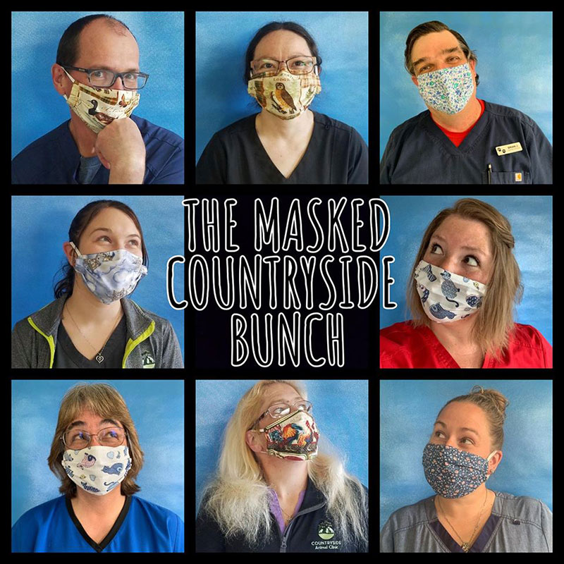 Better Together: The Masked Countryside Bunch from Countryside Animal Hospital, Madison, WI