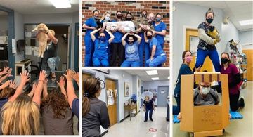 Connecting with team members