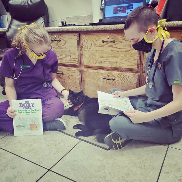 Denton TX Cute Concierge Appointment - Cat Story Time