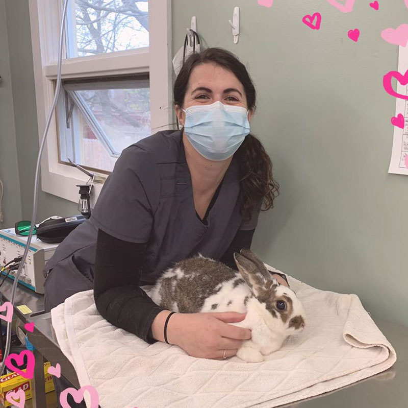 Farrington CT Cute Concierge Appointment - Bunny Love