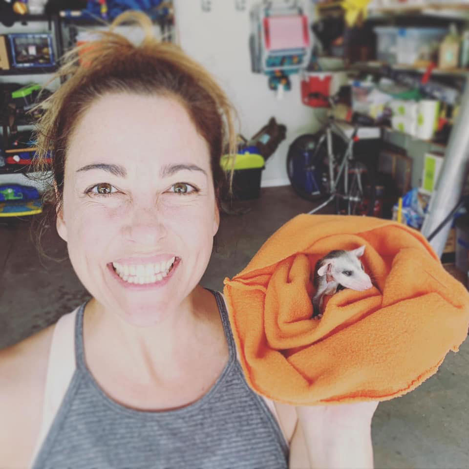 Earlysville Veterinary - Pocket Pets