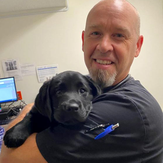 South Bend veterinary clinic, dog exam